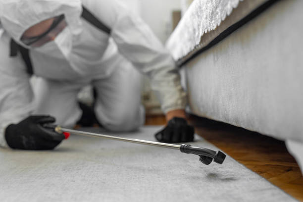 Professional Termite Control technician working in Bardonia, NY