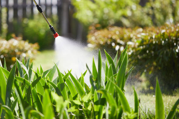 24/7 Emergency Termite Control experts in Bardonia, NY